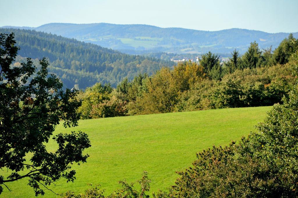 Apartman Na Bubnu Náchod Oda fotoğraf